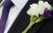 Carnation Boutonniere Carnation Boutonniere