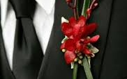 Orchid Boutonniere Orchid Boutonniere