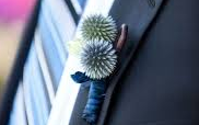 Thistle Boutonniere Thistle Boutonniere